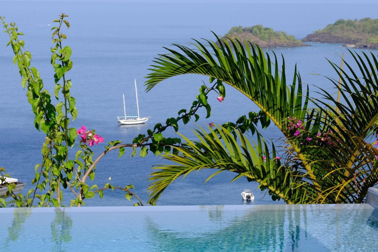 Sunset Palm - Villa Creole Avec Piscine Face Au Coucher De Soleil Et A La Reserve Cousteau Bouillante Eksteriør bilde