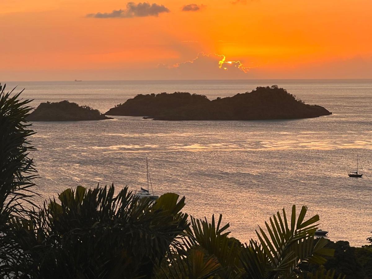 Sunset Palm - Villa Creole Avec Piscine Face Au Coucher De Soleil Et A La Reserve Cousteau Bouillante Eksteriør bilde